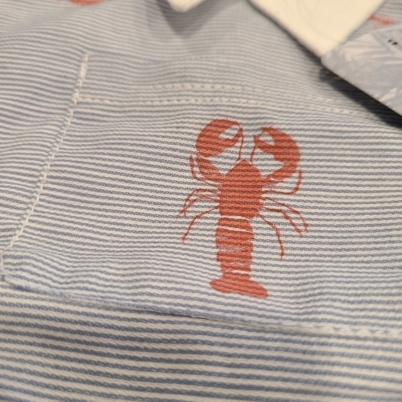 Tommy Bahama Infant Set with Lobster Print and Nautical Stripes, Size 3-6 Months - Picture 11 of 12